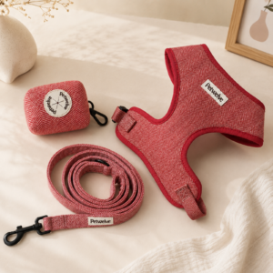 Petwelve Herringbone Tweed 3 In 1 Dog Walking Set, No Pull Soft Padded Harness + Matching Leash + Poop Bag Holder Bundle for Small Medium Dogs