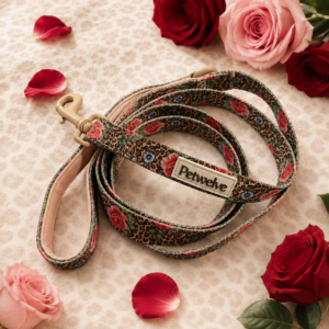 Dog Leash