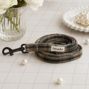 Pet Leash