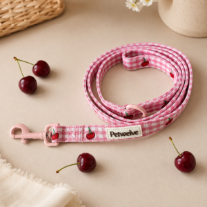 Dog Leash