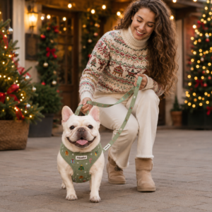 Christmas dog harness set in green corduroy with gingerbread embroidery, collar, leash and poop bag holder PT01