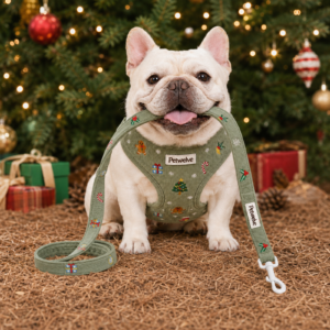 Christmas dog harness set in green corduroy with gingerbread embroidery, collar, leash and poop bag holder PT02
