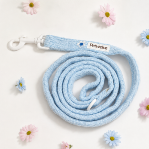 Pet Leash