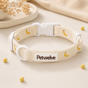 Pet Collar