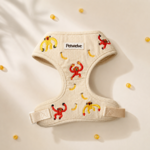 Dog Harness