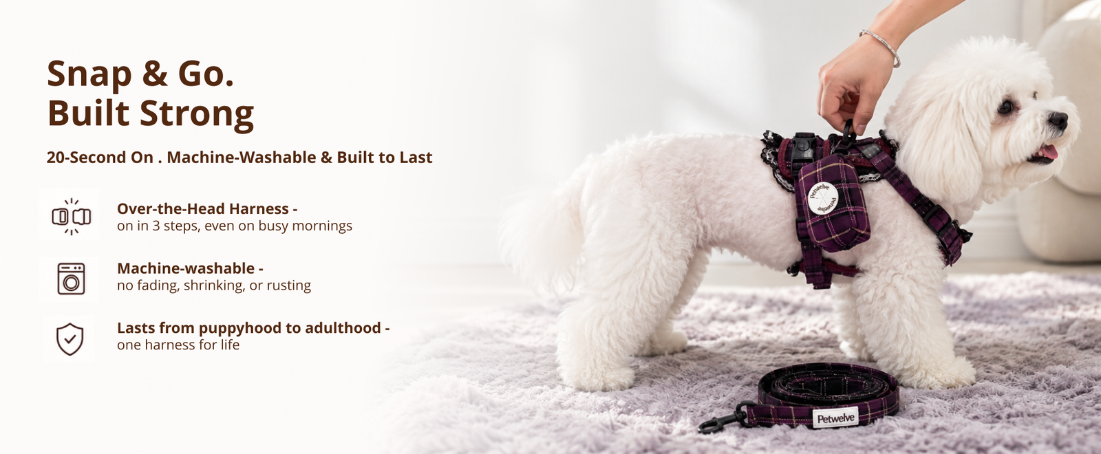 White dog wearing the Petwelve tartan harness with matching pouch, next to a coiled tartan leash on a rug