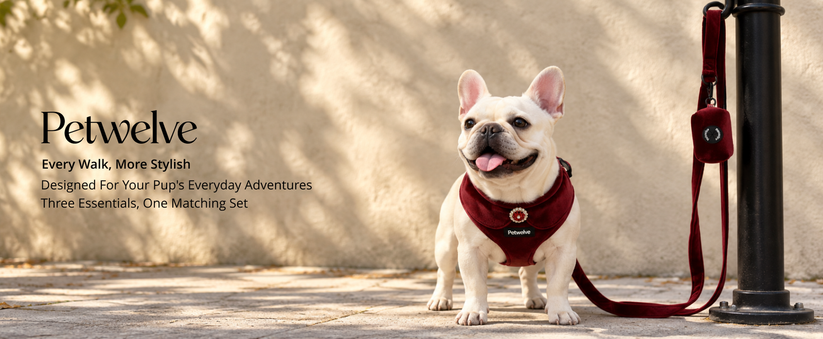 White French bulldog in a burgundy velvet harness and leash, with a matching bag holder, on a sunlit sidewalk