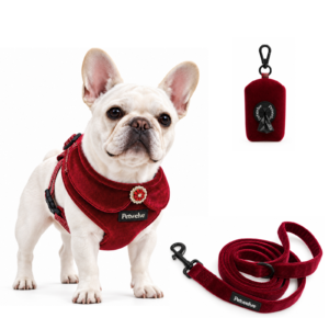 White French bulldog in the burgundy velvet harness, shown with the matching leash and zipped poop bag holder on white