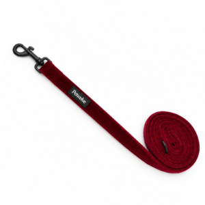 Pet Leash