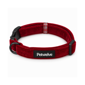 Pet Collar
